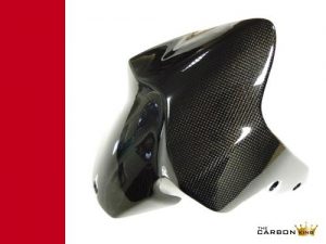 DUCATI MONSTER 821 1200 1200S CARBON FIBRE FRONT MUDGUARD FENDER FIBRE IN PLAIN