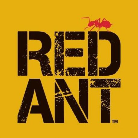 RED ANT MOTORBIKE PROTECTOR ADVANCED CLEANER AND SHINE PROTECTANT 0.5 LTR REDANT