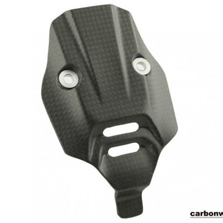 carbon-numbr-plate-panel-for-the-ducati-panigale-v4.jpg