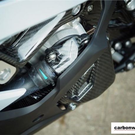 bmw-s1000rr-2019-fitted-carbon-water-pump-cover-by-carbonworld-uk.jpg