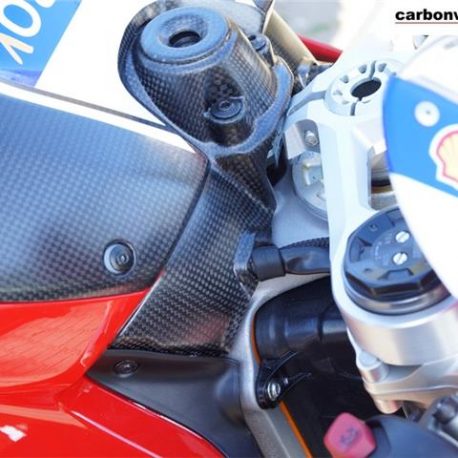 carbonworld-fitted-key-guard-panigale-v4.jpg