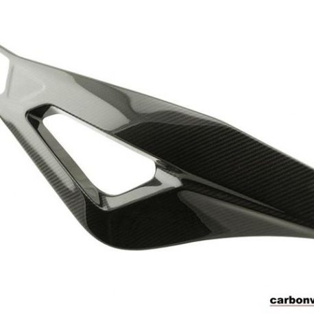 carbonworld-s1000rr-swingarm-covers.jpg