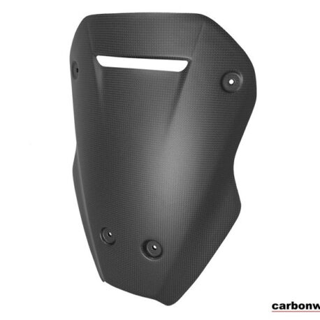 Carbonworld Screen for Ducati Multistrada V4 all models