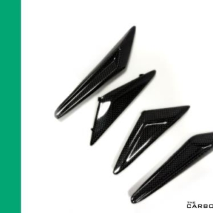 TRIUMPH STREET TRIPLE 675 DAYTONA 2013 ON REAR SUBFRAME INFILL SET IN PLAIN CARBON